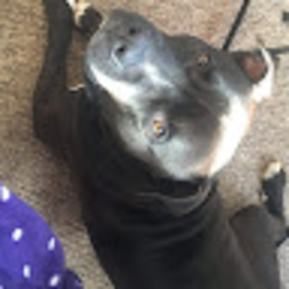 Meet your Posher, Georgia